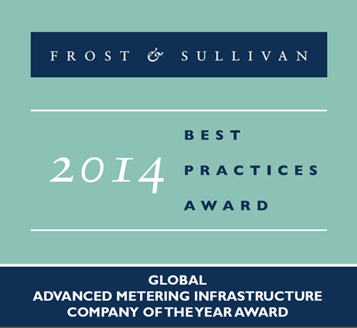 Landis+Gyr Accepts Frost & Sullivan Global AMI Company of the Year Award